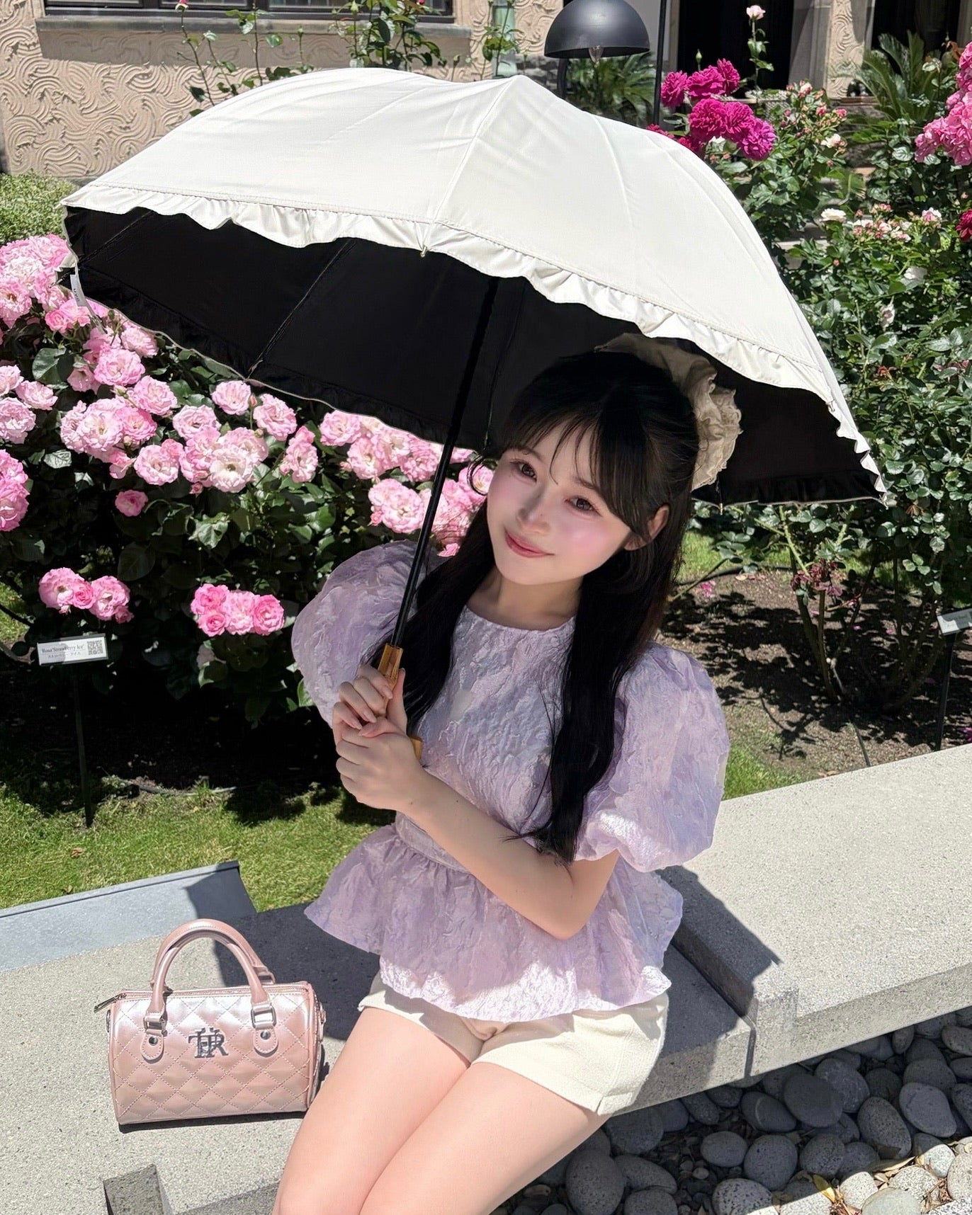 Butterfly jacquard peplum tops