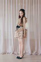 Frill chiffon mini dress