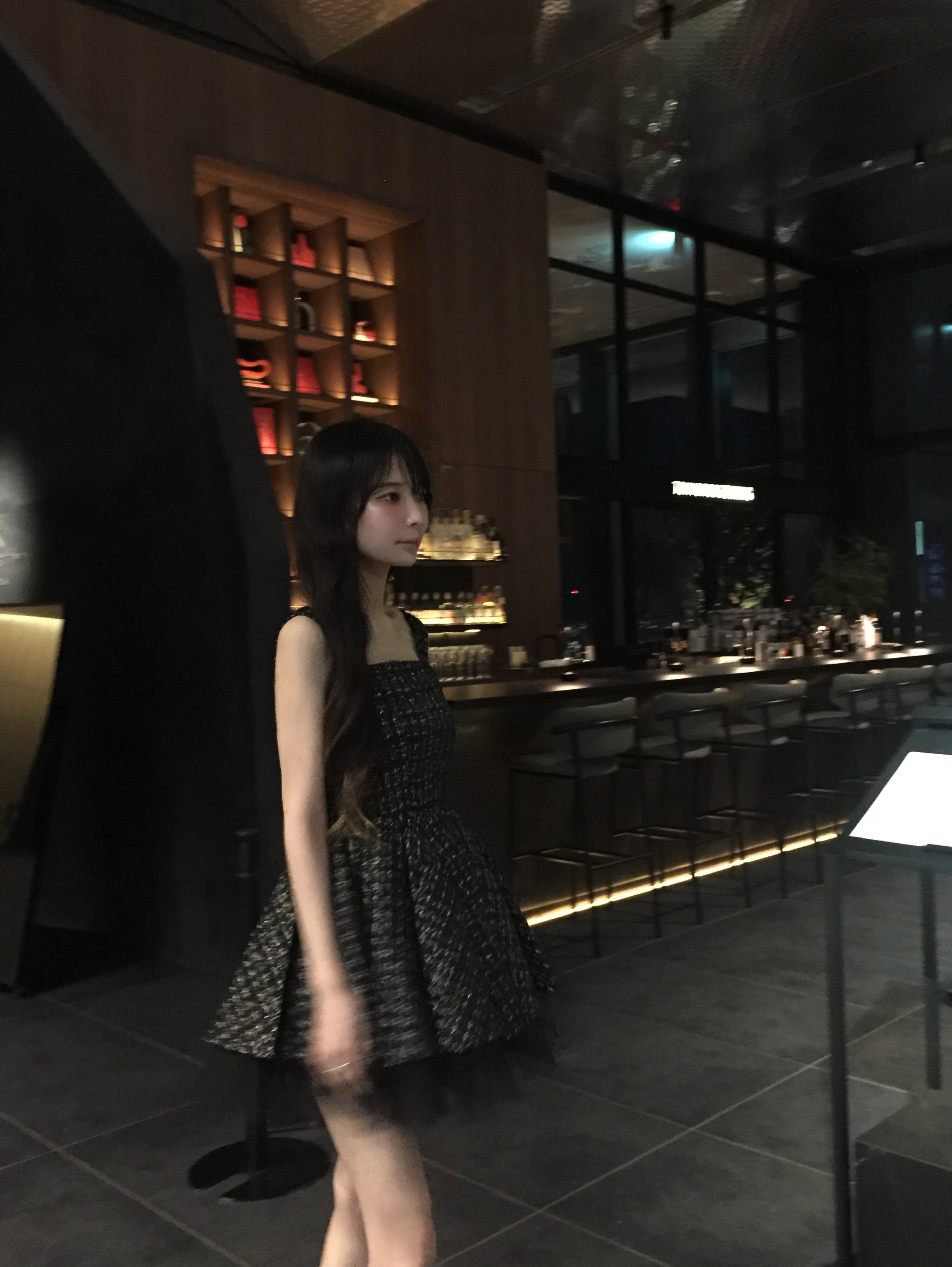 Twilight Tweed Tulle Dress(black)